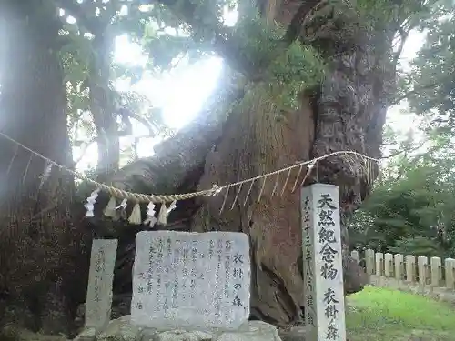 宇美八幡宮の自然