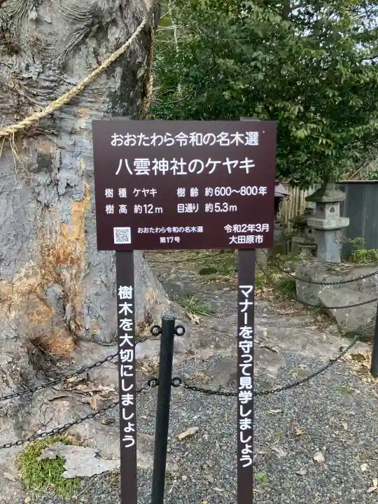 田町八雲神社の{uncategorized: "未分類", other: "その他", undefined: "問題あり", building: "その他建物", grave: "お墓", sacred_gate: "鳥居", guardian: "狛犬", statue: "像", buddha: "仏像", history: "歴史", nature: "自然", garden: "庭園", animal: "動物", pagoda: "塔", temizu: "手水舎", mountain_gate: "山門・神門", sanctuary: "本殿・本堂", subordinate: "末社・摂社", art: "芸術", scenery: "景色", jizo: "地蔵", ema: "絵馬", goshuin: "御朱印", omikuji: "おみくじ", items: "授与品その他", amulet: "お守り", goshuincho: "御朱印帳", eats: "食事", festival: "お祭り", votive_dance: "神楽", shichigosan: "七五三参", wedding: "結婚式", experience: "体験その他", initially: "初詣", around: "周辺", anti_infection: "感染症対策"}