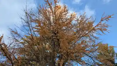 旭川別院(北海道)