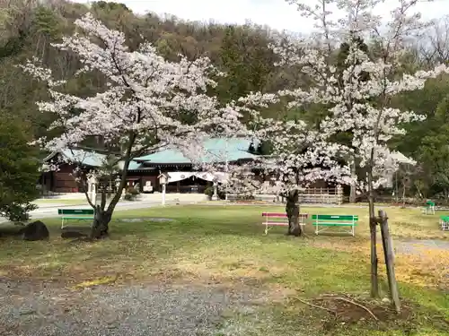 山梨縣護國神社の自然