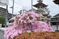 豊国神社の自然