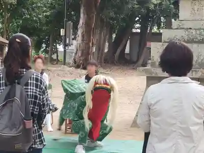 日招八幡大神社(愛媛県)