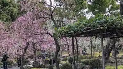 城南宮(京都府)