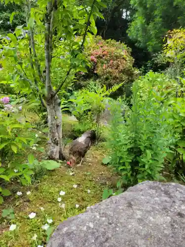 観音寺(京都府)