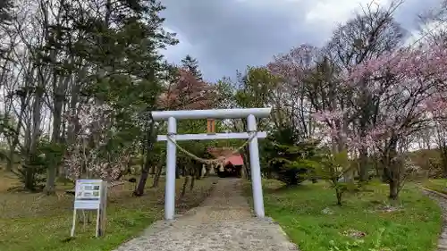 男山八幡神社の鳥居