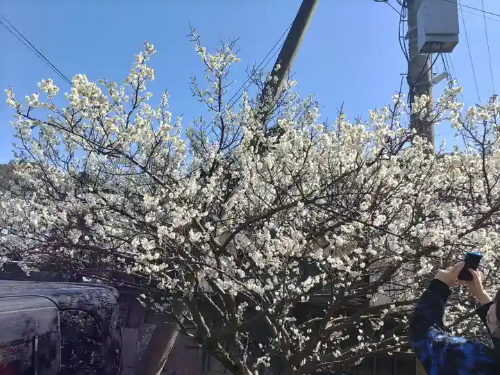 金熊寺(大阪府)