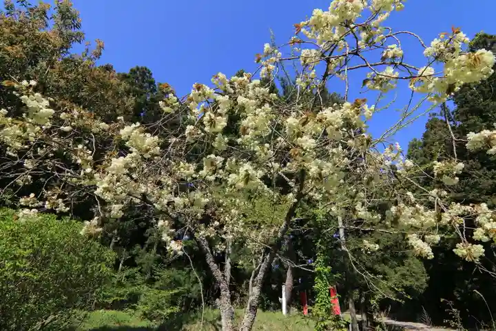御札神社の自然