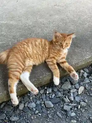 亀岡八幡宮(栃木県)