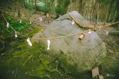 白鬚神社(滋賀県)