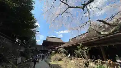 吉野水分神社(吉野町)の本殿・本堂