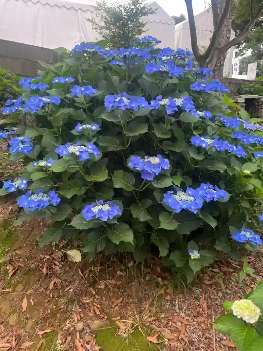 三ヶ根観音(太山寺)(愛知県)