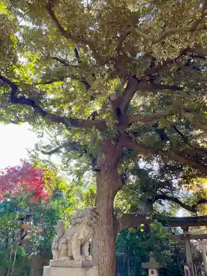 長崎神社(東京都)