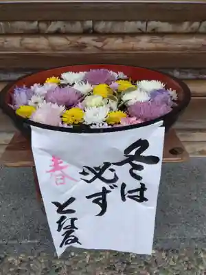 妙智寺(福井県)