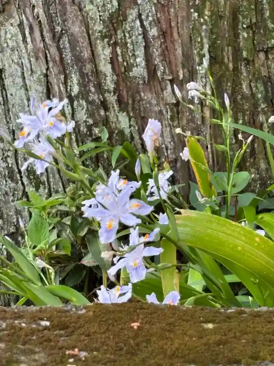 岩戸別神社(栃木県)