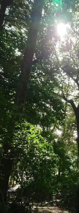 素盞嗚神社の自然