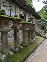春日大社 若宮(春日若宮)(奈良県)