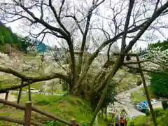 仏隆寺(奈良県)