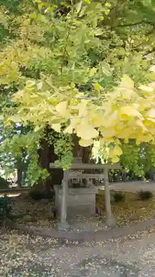 西蓮寺(茨城県)