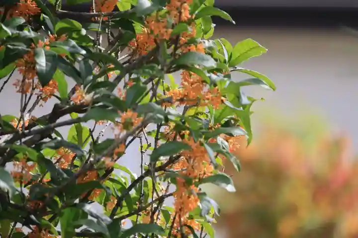 大鏑神社の庭園