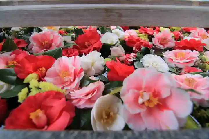 豊景神社の手水舎