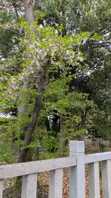 旦椋神社(京都府)