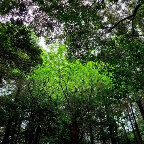府八幡宮(静岡県)