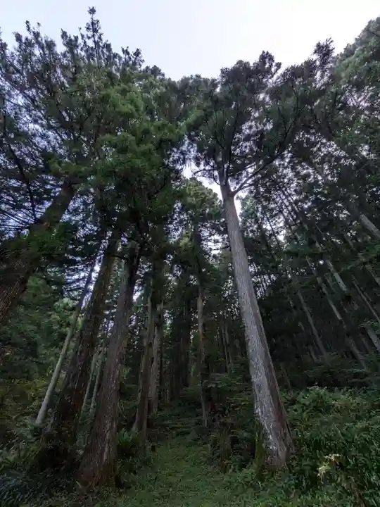 迦葉山龍華院弥勒護国寺(弥勒寺)の自然