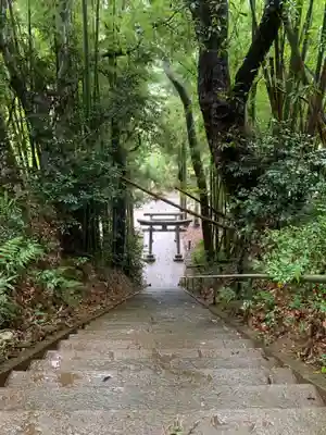 稲荷神社(千葉県)
