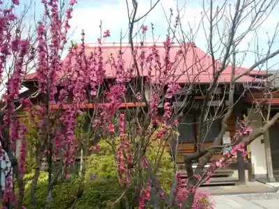 向福寺のその他建物