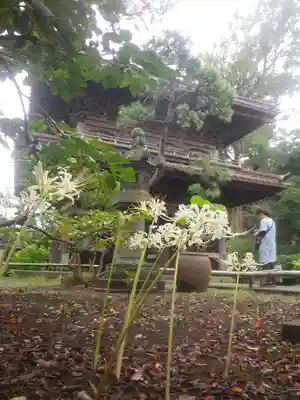 英勝寺のその他建物