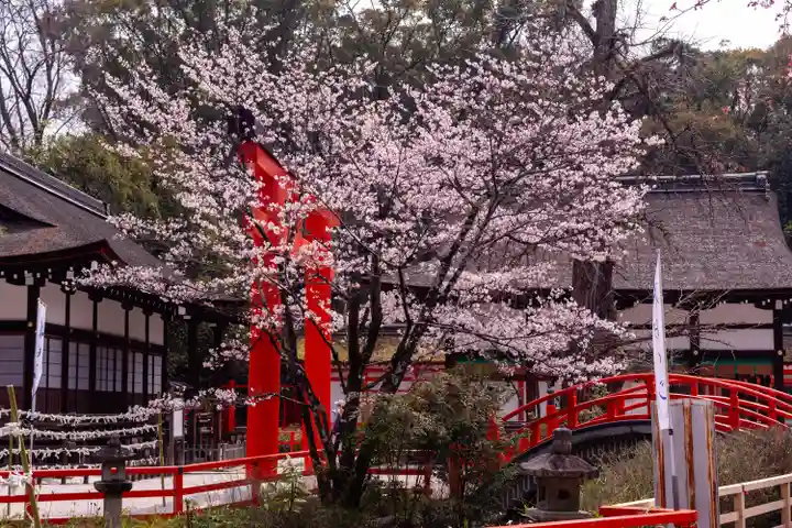 賀茂御祖神社(下鴨神社)(京都府)