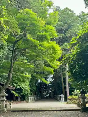 御上神社(滋賀県)