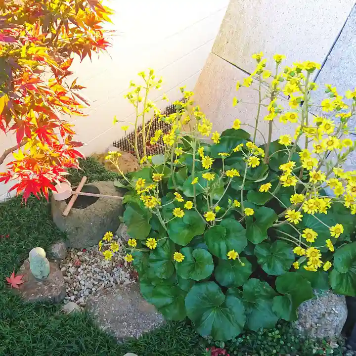 寿量山 速成寺の自然