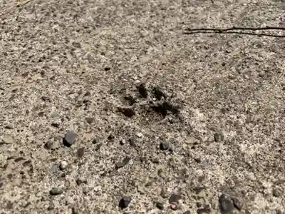 諏訪神社(千葉県)