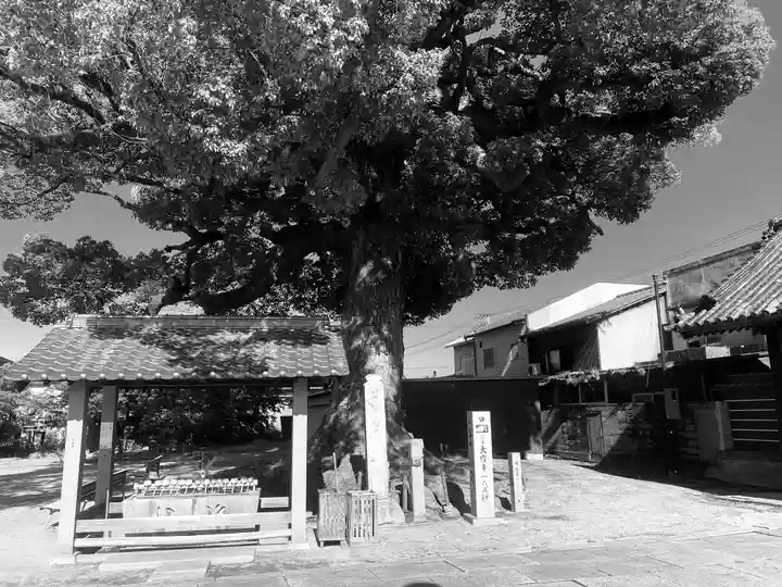 長尾寺(香川県)