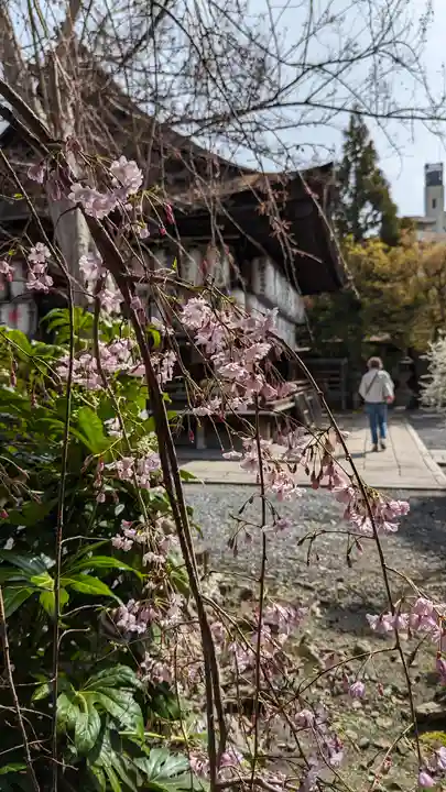 下御霊神社(京都府)
