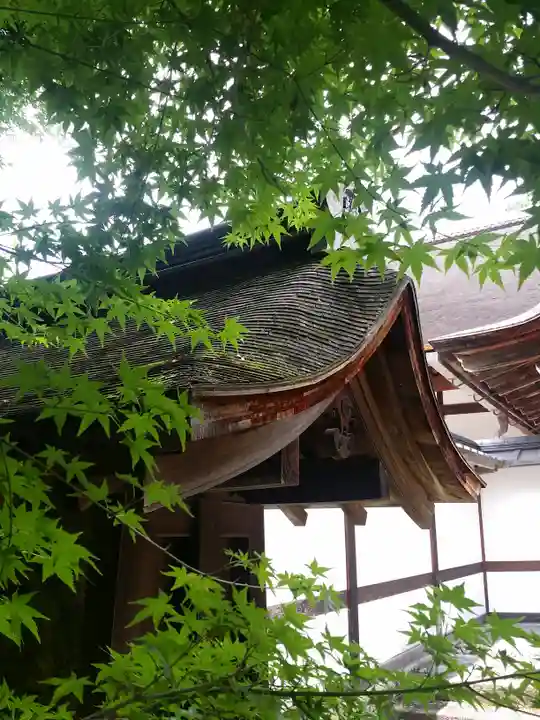 龍安寺(京都府)