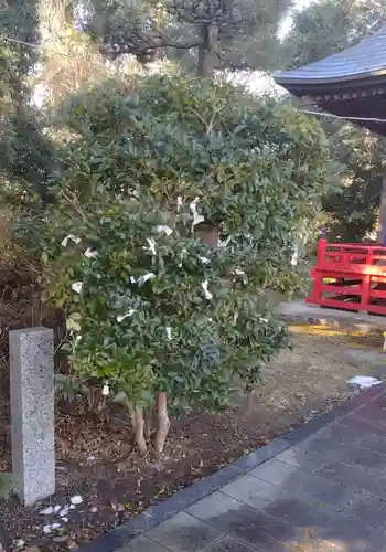 神明社(宮城県)