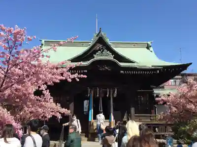 桜神宮(東京都)