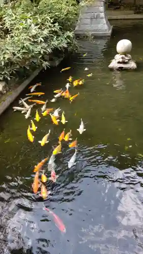 石鎚神社の庭園