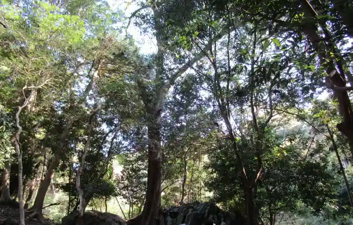 和多都美神社(長崎県)