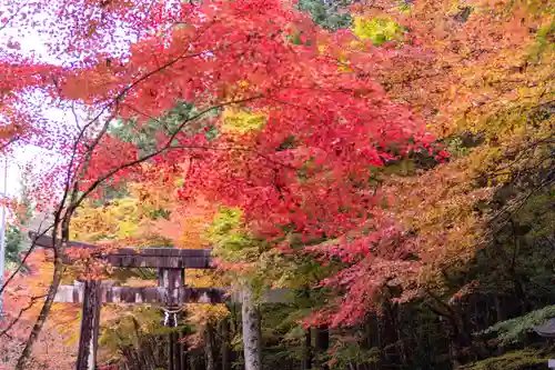 大矢田神社(岐阜県)