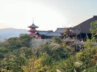 清水寺(京都府)