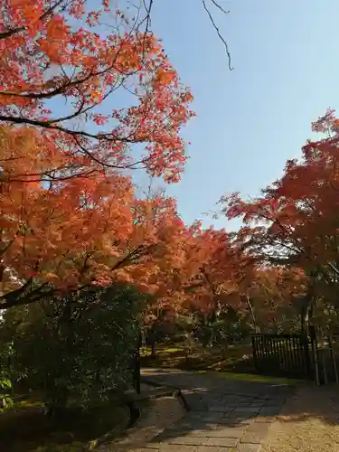 法金剛院の自然