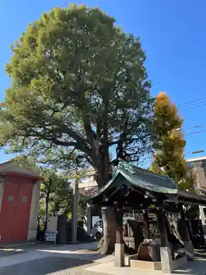麻布氷川神社(東京都)