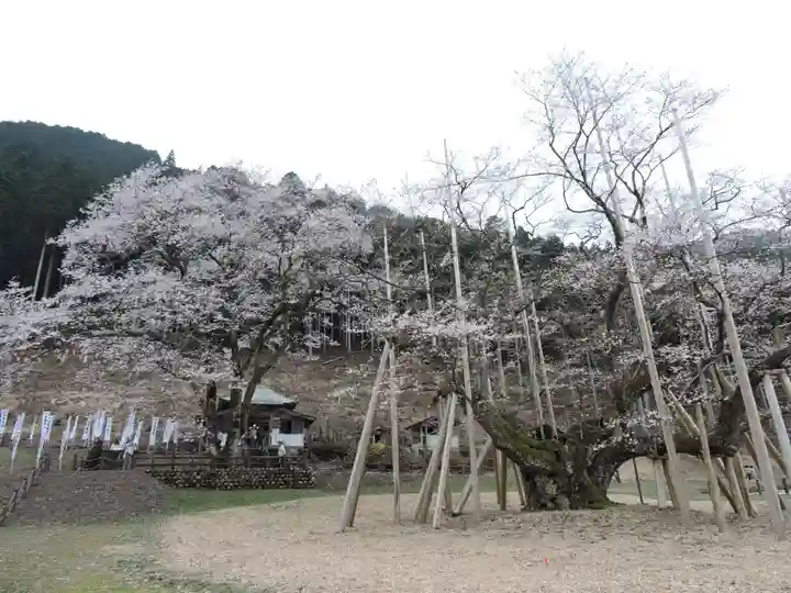 淡墨観音(岐阜県)