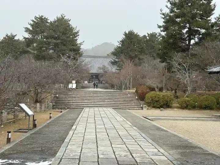 仁和寺の{uncategorized: "未分類", other: "その他", undefined: "問題あり", building: "その他建物", grave: "お墓", sacred_gate: "鳥居", guardian: "狛犬", statue: "像", buddha: "仏像", history: "歴史", nature: "自然", garden: "庭園", animal: "動物", pagoda: "塔", temizu: "手水舎", mountain_gate: "山門・神門", sanctuary: "本殿・本堂", subordinate: "末社・摂社", art: "芸術", scenery: "景色", jizo: "地蔵", ema: "絵馬", goshuin: "御朱印", omikuji: "おみくじ", items: "授与品その他", amulet: "お守り", goshuincho: "御朱印帳", eats: "食事", festival: "お祭り", votive_dance: "神楽", shichigosan: "七五三参", wedding: "結婚式", experience: "体験その他", initially: "初詣", around: "周辺", anti_infection: "感染症対策"}