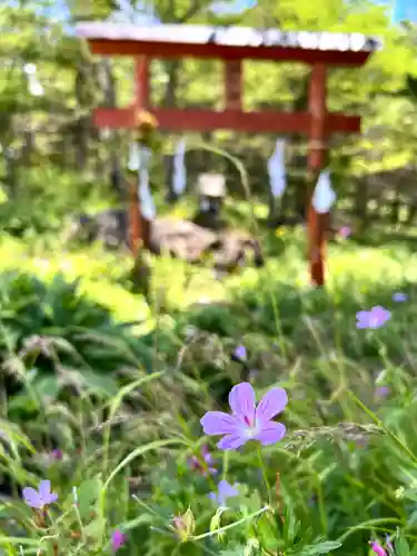 山の神神社(長野県)
