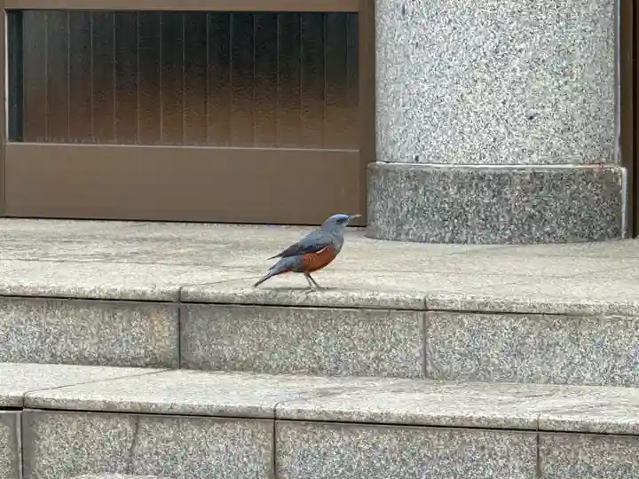 西方山極楽寺(岐阜県)