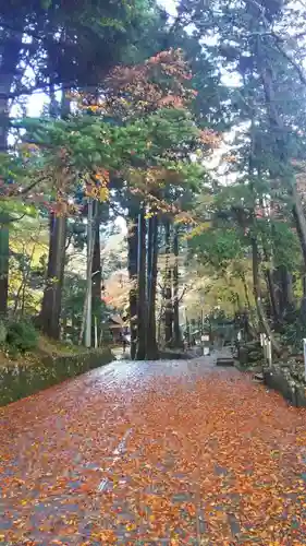 富士山東口本宮 冨士浅間神社の自然